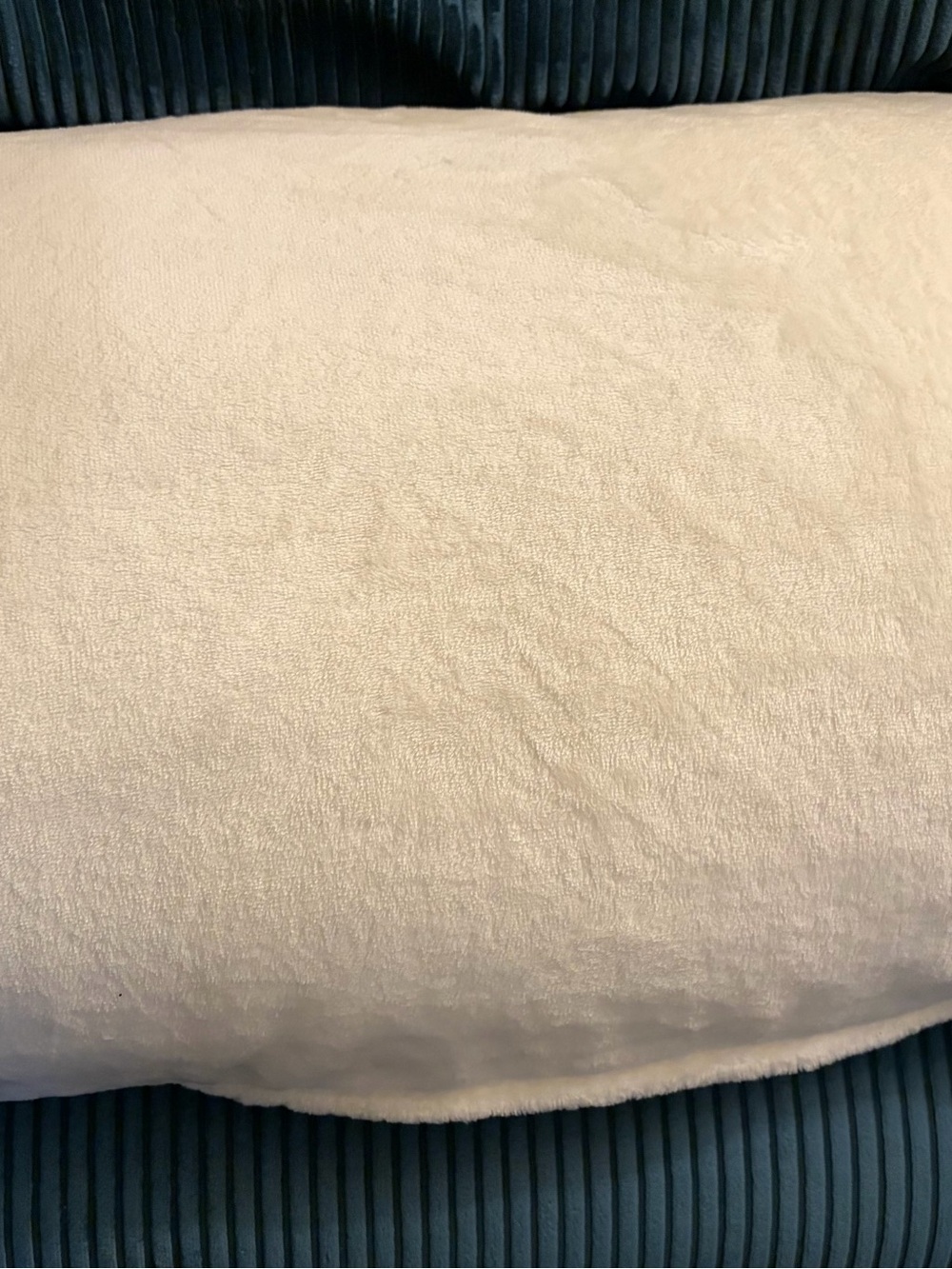 NWT Kate Spade Cream Plush Microfiber Queen Blanket, not in packaging, spotless